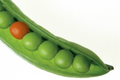 HRMS World - Disparate HR systems