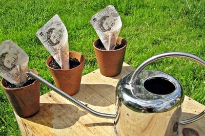 Things That Go Wrong in a Payroll Department without HRMS - Money Tree