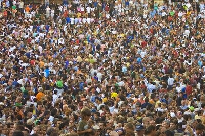 Crowd HRMS Team Selection